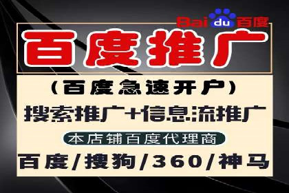 百度搜索推广实战技巧：成功案例启示录